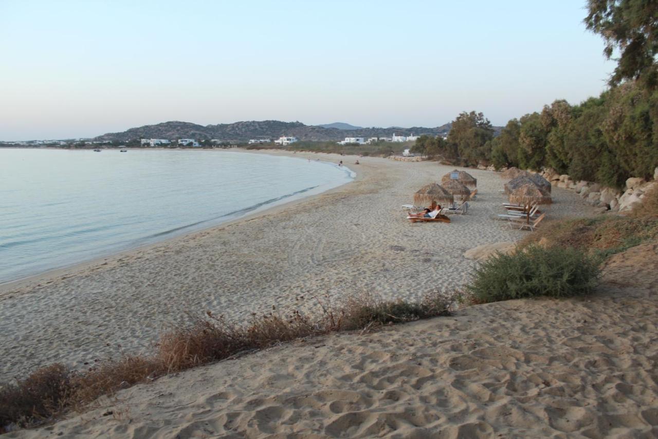 Villa Paradise In Naxos Pláka Exterior foto
